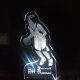Lighted Led Pictures and Signs