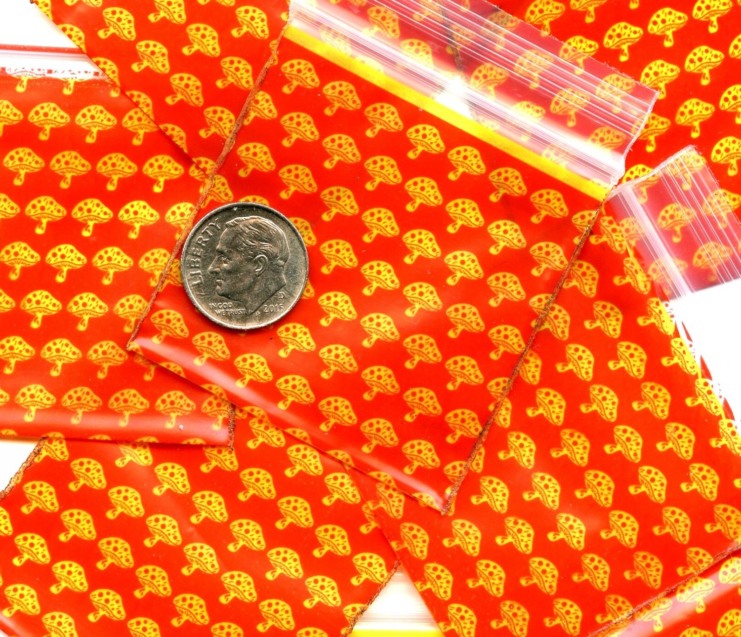 100 Mushrooms Apple baggies 2 x 2 Mini Zip lock Bags 2020