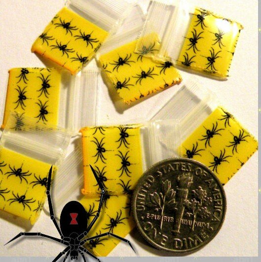 100 Spiders Baggies 1212 Small Ziplock Bags 0.5 x 0.5 in