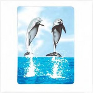 #37248 Dolphin Fleece Blanket