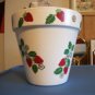 Srawberry pot