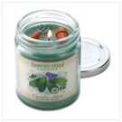Cucumber Mint Garden Candle 13801