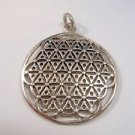 FLOWER OF LIFE PENDANT Secret Kabbalah Healing Fruit