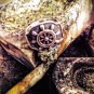 Ship Wheel signet ring Solid Silver Sterling 925 by EZI ZINO