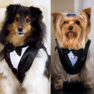 Pet Tux