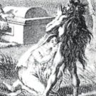 24 Books Phallic Sexual Worship Phallicism Symbols Sex
