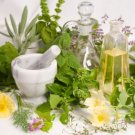 31+ Books Herbal Remedies Cures Herbs Plant Medicine