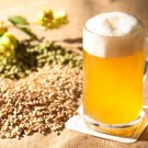 33+ Books Beer Brewing & Wine Making Home Distillation