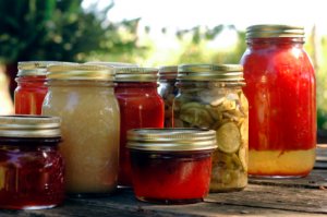 41 Books Home Canning Survival Self-Sufficiency Recipes