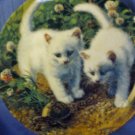 A CHANCE MEETING: WHITE AMERICAN SHORTHAIRS Collector Plate