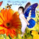 The most beautiful butterfly