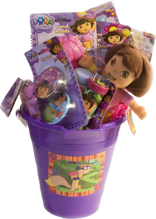 Dora The Explorer T Basket