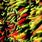 Chiles by the Bunches