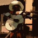 El Mariachi Magnifico
