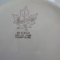 Vintage 2 Souvenir Plates Anglican Church Dunham QC