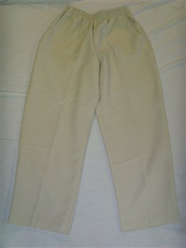 Womens Size 8P Briggs Tan Slacks
