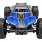 Redcat Racing Blackout XBE Pro 1/10 Scale Electric Buggy - Blue (BLACKOUT-XBE-PRO-BLUE)