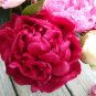 Peonies Flowers - 100 Stems Red ,   Arrival April 28 through May 2011 Arrival
