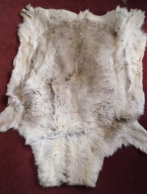 raindeer skin - original from lappland