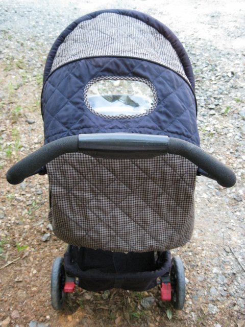 eddie bauer sit and stand stroller