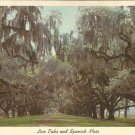 Live Oaks and Spanish Moss  postcard (#85)