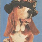 Thinking of you ...  postcard (#87)