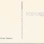 German Shepherd  postcard (#100)