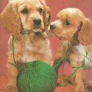 Cocker Spaniels  postcard (#101)