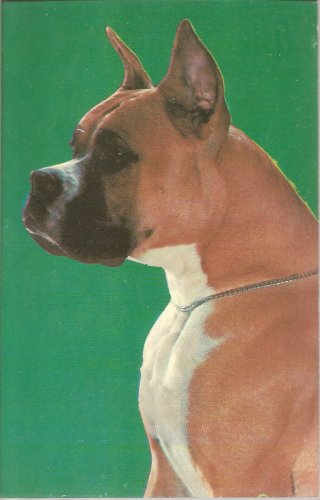 Boxer  postcard (#102)
