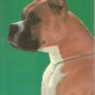 Boxer  postcard (#102)