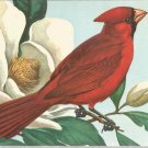 Cardinal  postcard (#103)