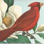 Cardinal  postcard (#103)