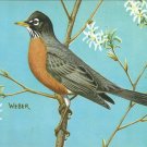 Robin postcard (#110)
