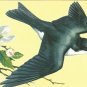 Tree Swallow  postcard (#112)
