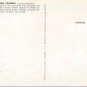 White-Winged Crossbill   postcard (#115)