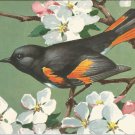 Redstart postcard (#125)