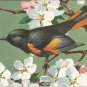 Redstart postcard (#125)