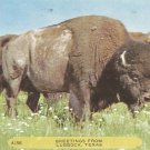 Greetings from Lubbock, Texas  postcard (#139)