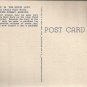 The Snow Lady, near Eagle Nest Rock, Petrified Forest , Arizona     postcard (#194)