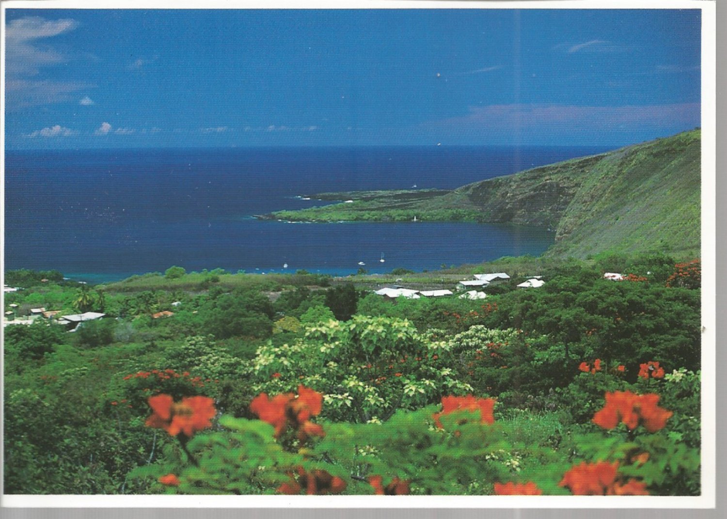 Beautiful Kealakekua Bay on Hawaii's Big Island postcard (211)
