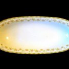 Tirschenreuth Richmond 3753 Celery Dish Oblong Bowl