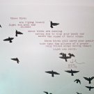 "These Birds" poem on photo by Silvi Alicvar
