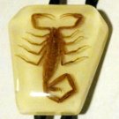 VINTAGE UPDATED  RESIN ? LUCITE ? SCORPION Bolo SLIDE Tie WESTERN DANCE FREE USA SHIPPING