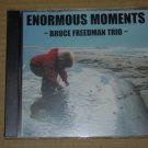 Bruce Freedman Trio - Enormous Moments NEW CD