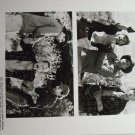 City Slickers II 1994 photo 8x10 billy crystal jon lovitz daniel stern 7