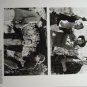 City Slickers II 1994 photo 8x10 billy crystal jon lovitz daniel stern 7