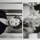 My Favorite Season 1993 1996 photo 8x10 catherine deneuve daniel auteuil