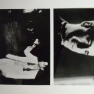Disappearance of Garcia Lorca 1996 1997 photo 8x10 andy garcia