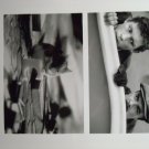 Mousehunt 1997 photo 8x10 lee evans nathan lane mouse eats cheese