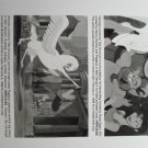 Hercules 1997 photo 8x10 disney animated film hercules with girl, hercules with horse lower